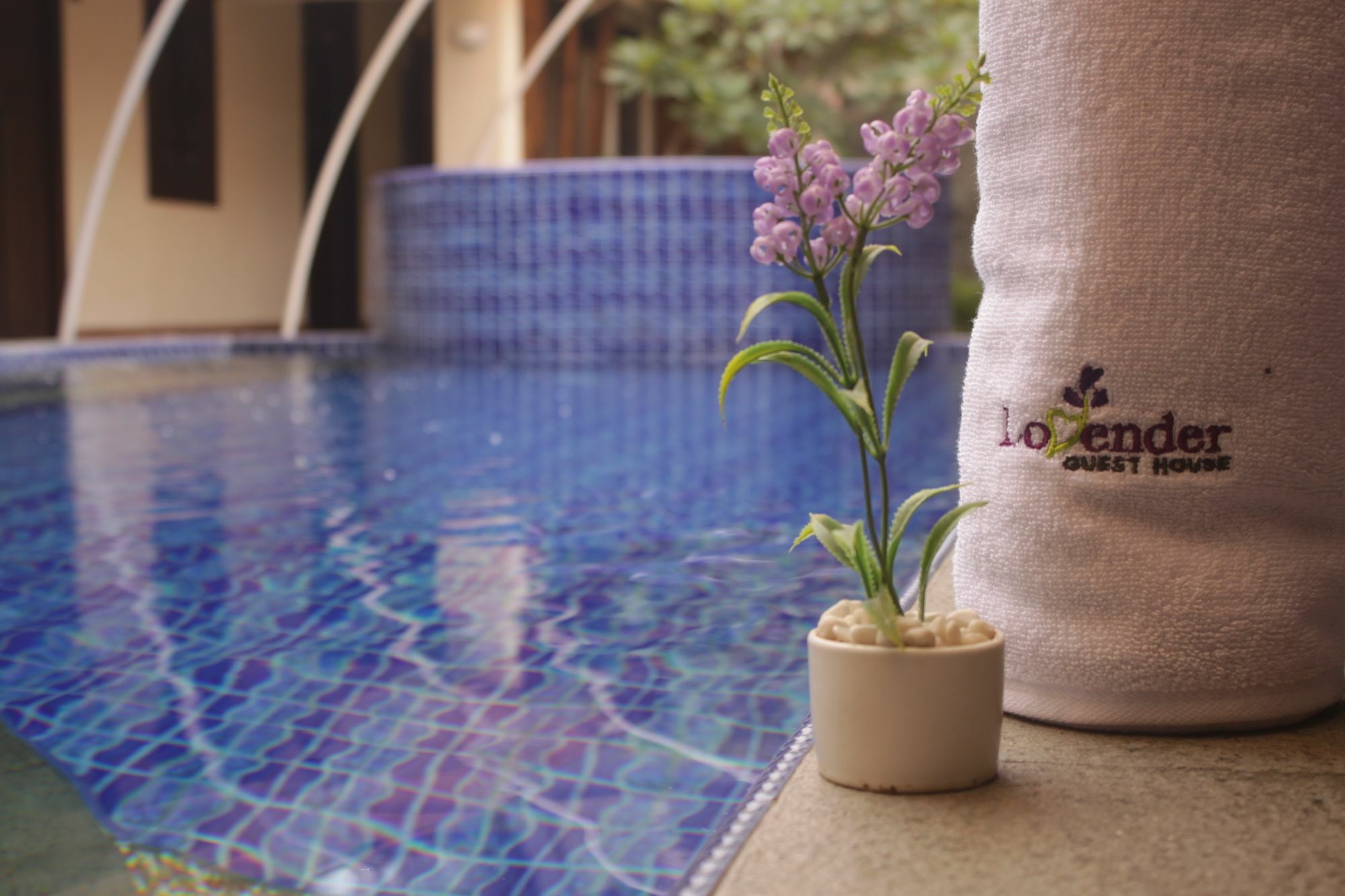 Lovender Guesthouse Malang Exterior photo