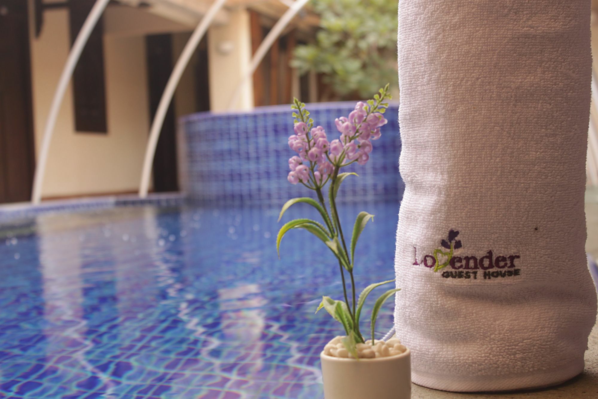 Lovender Guesthouse Malang Exterior photo